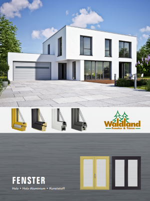 Fenster-Waldland-Cover